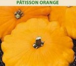 PATISONAI PÂTISSON ORANGE